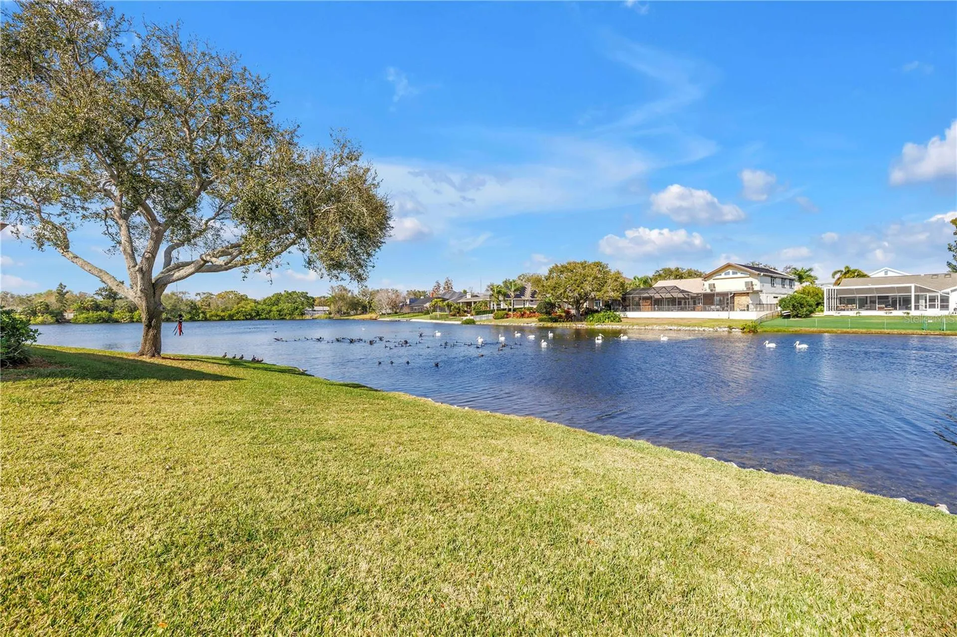 771 Suwannee Court NE St Petersburg FL 33702