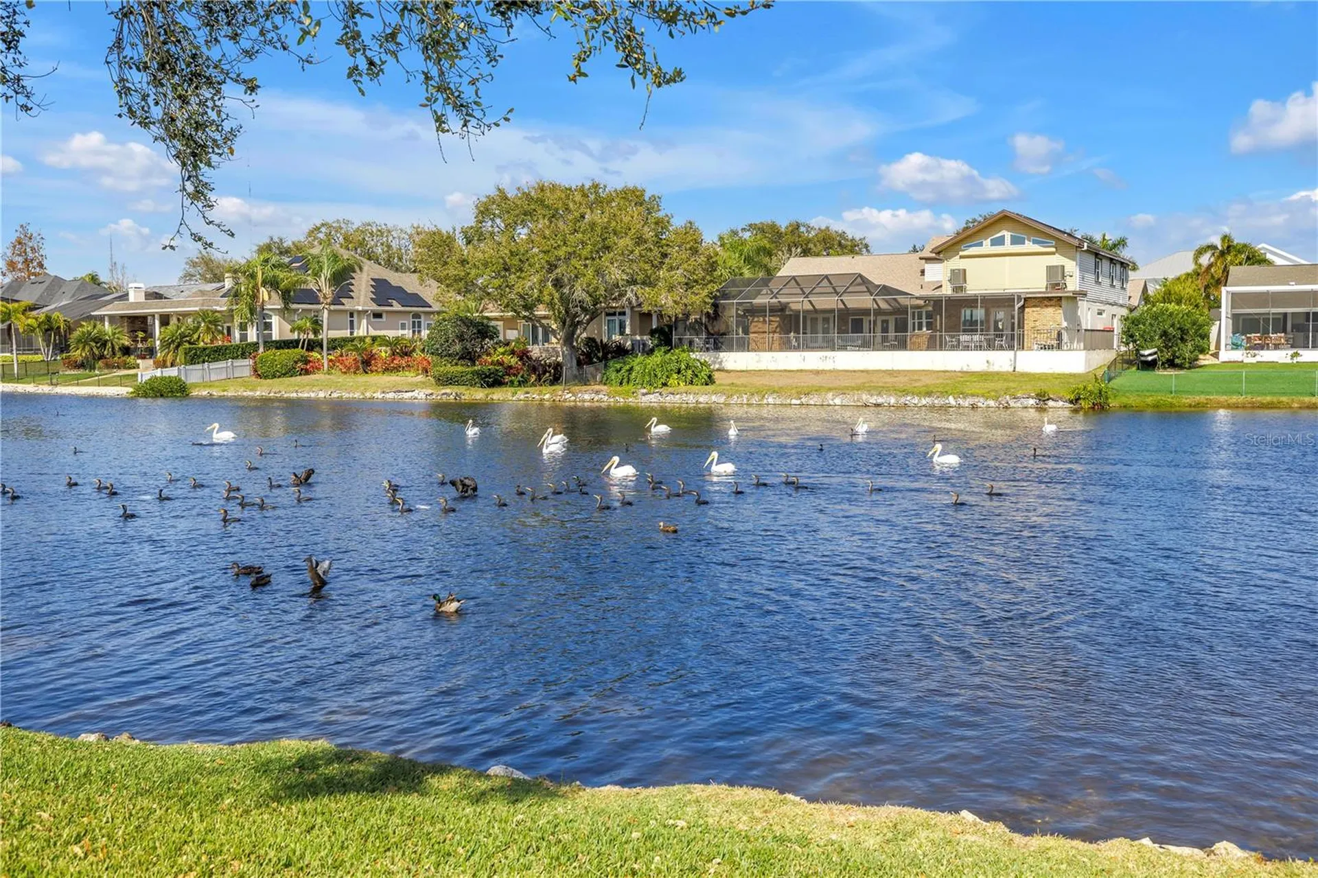 771 Suwannee Court NE St Petersburg FL 33702