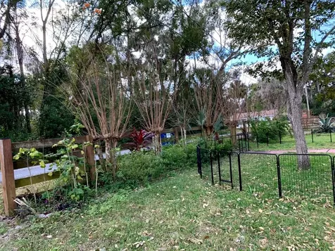 32935 Jesse Jones Avenue San Antonio FL 33576