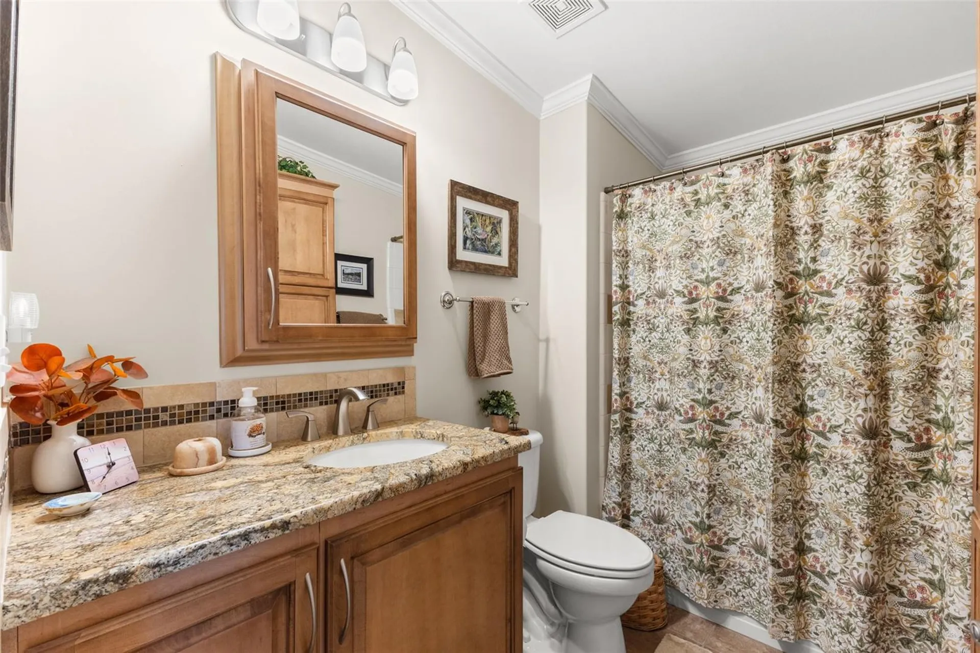 7166 Mount Arlington Drive NE St Petersburg FL 33702
