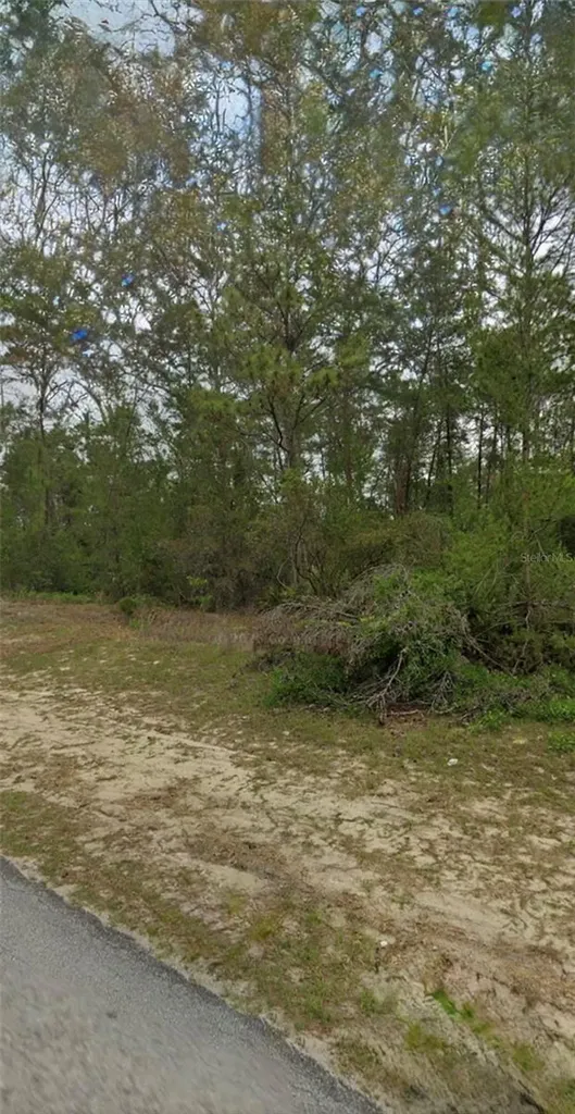 Tbd SW 44th Circle Ocala FL 34473