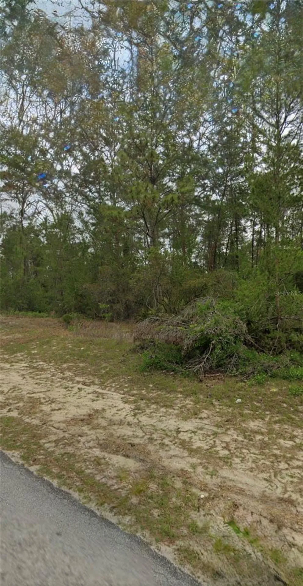 Tbd SW 44th Circle Ocala FL 34473