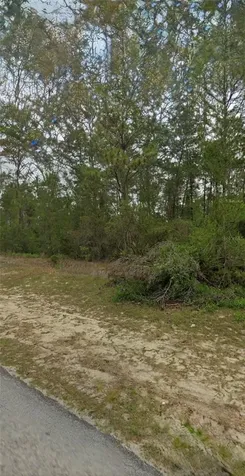 Tbd SW 44th Circle Ocala FL 34473