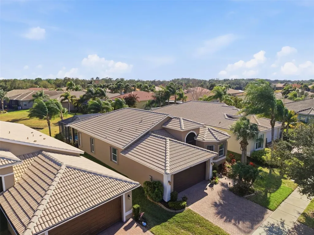 16207 Cape Coral Drive Wimauma FL 33598