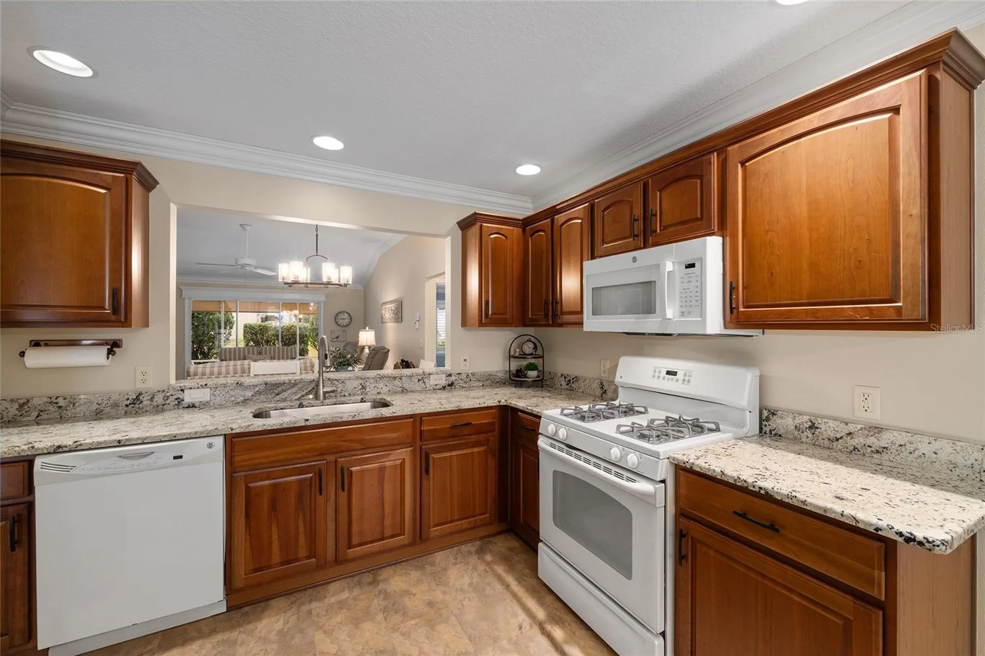 497 Little River Path The Villages FL 32162