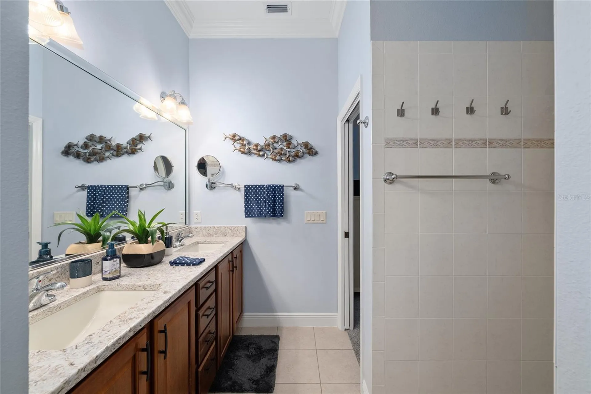 497 Little River Path The Villages FL 32162