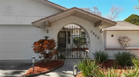3845 Erin Brook Drive New Port Richey FL 34655