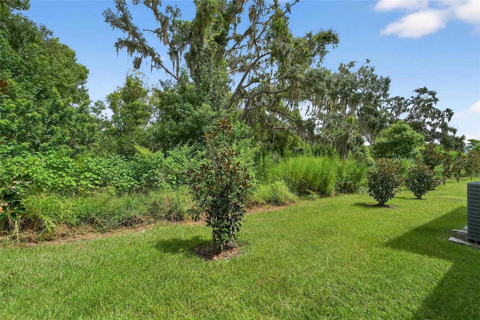 5068 Captain Davis Drive Wimauma FL 33598