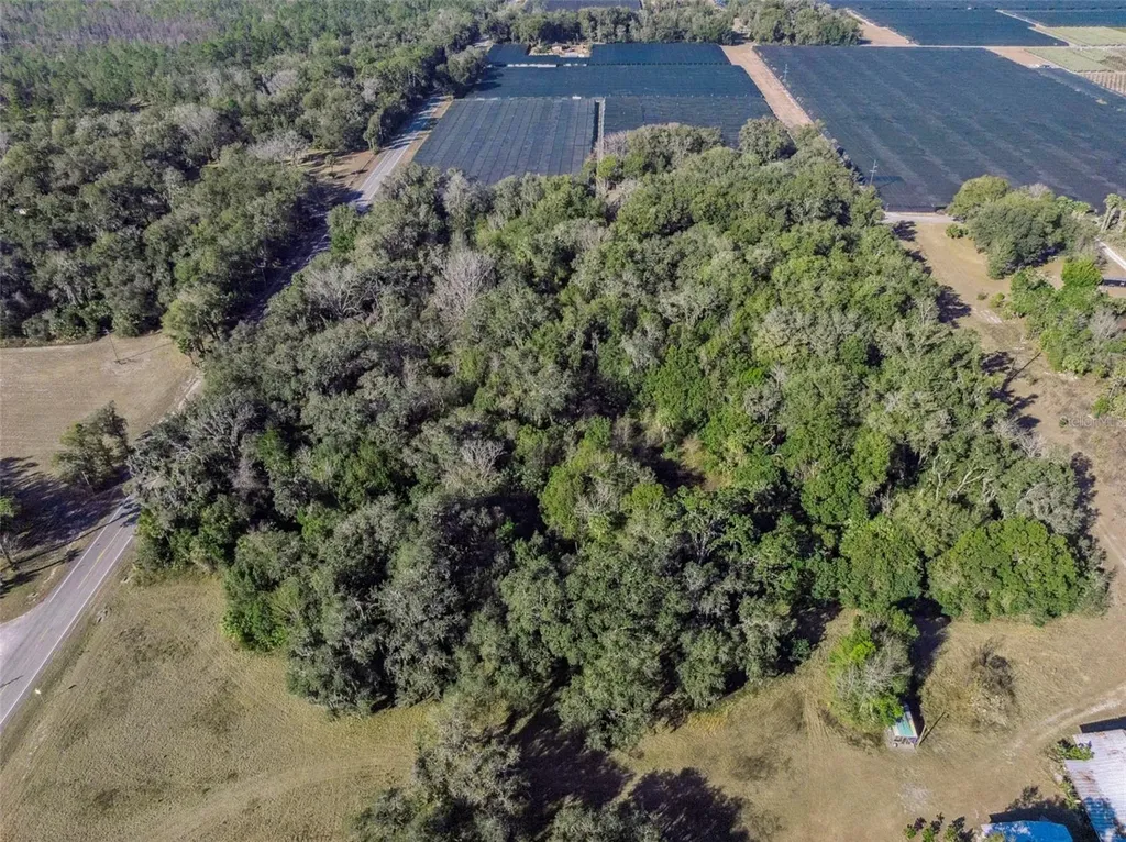 1975 Stone Road Pierson FL 32180
