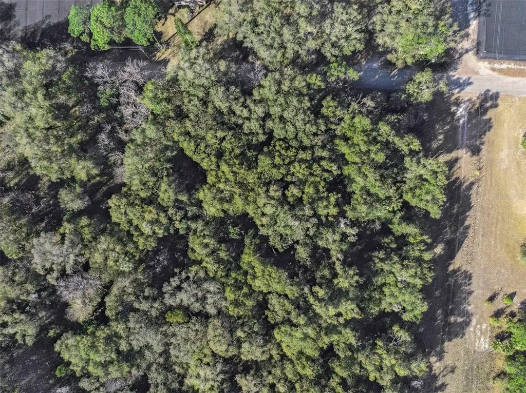 1975 Stone Road Pierson FL 32180