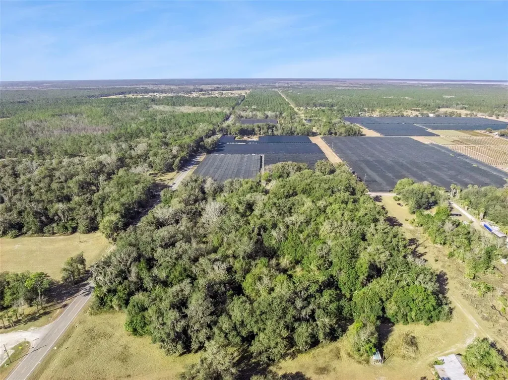 1975 Stone Road Pierson FL 32180