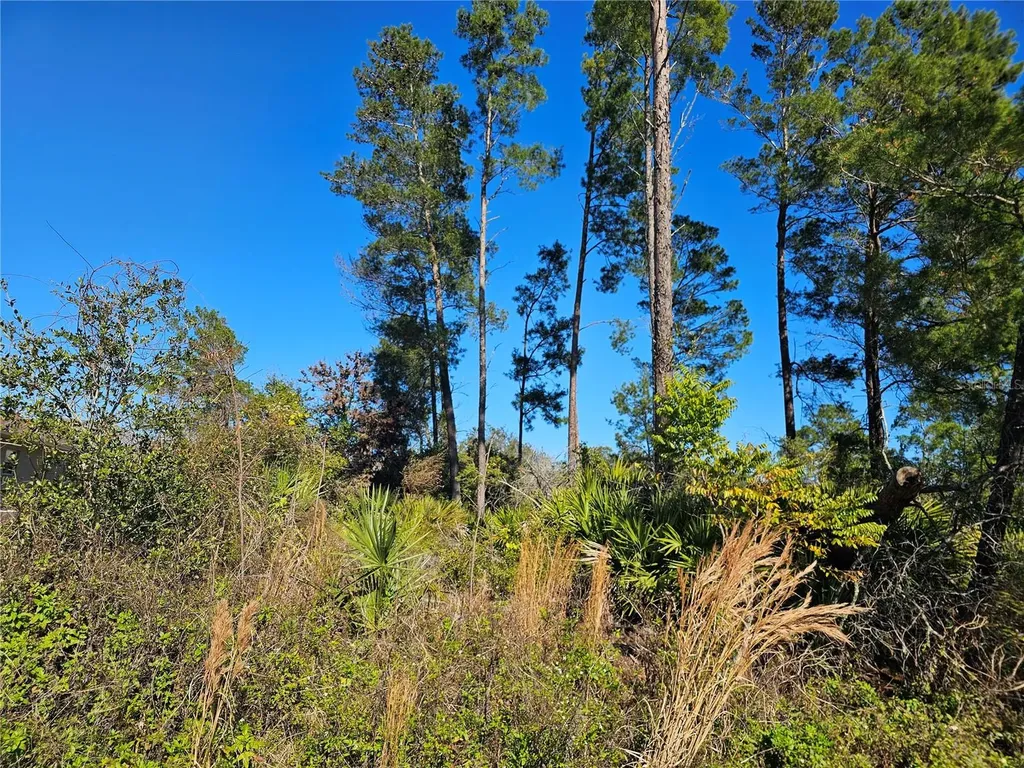 7 Wood Arbor Lane Palm Coast FL 32164