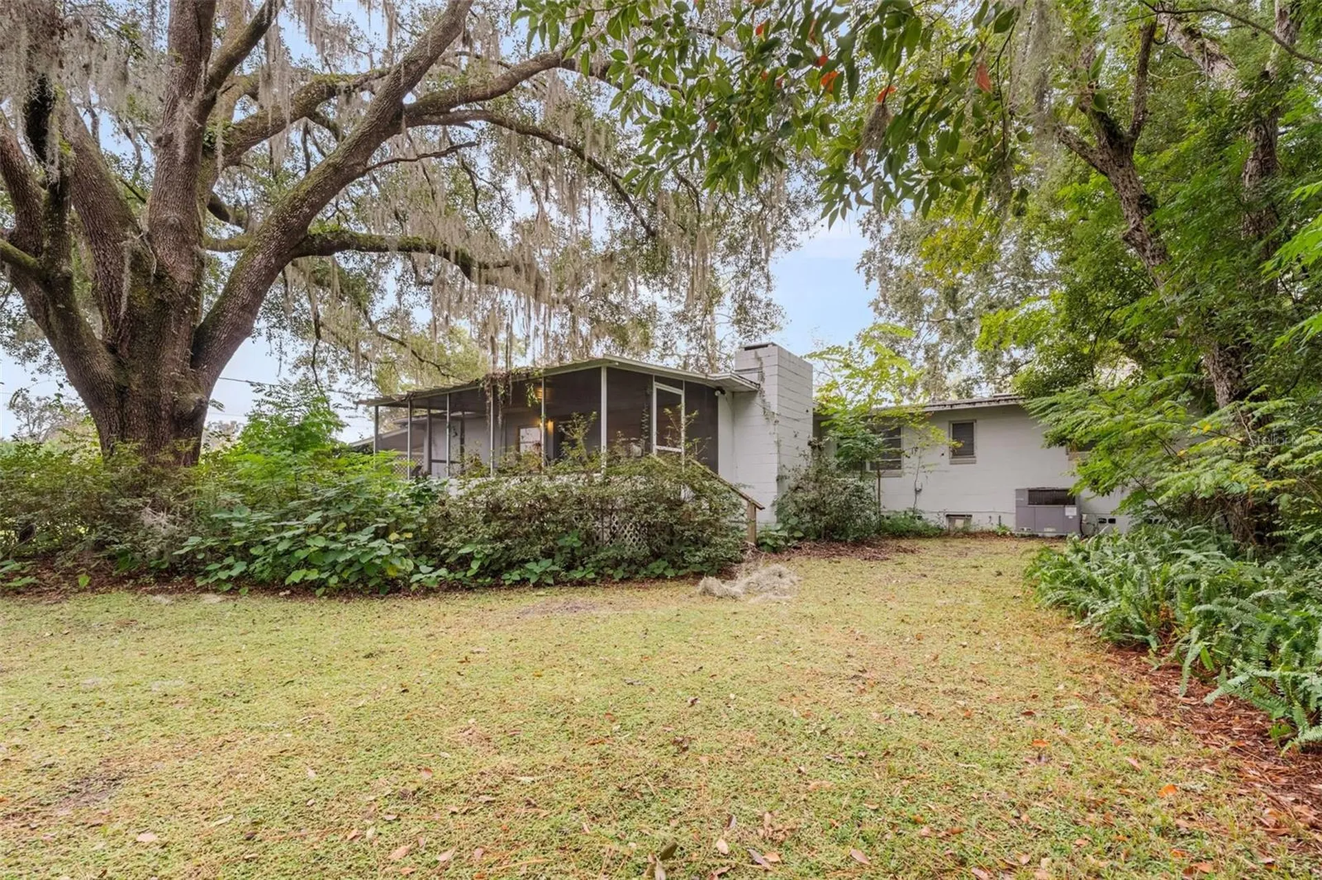 311 NW 8th Street Williston FL 32696