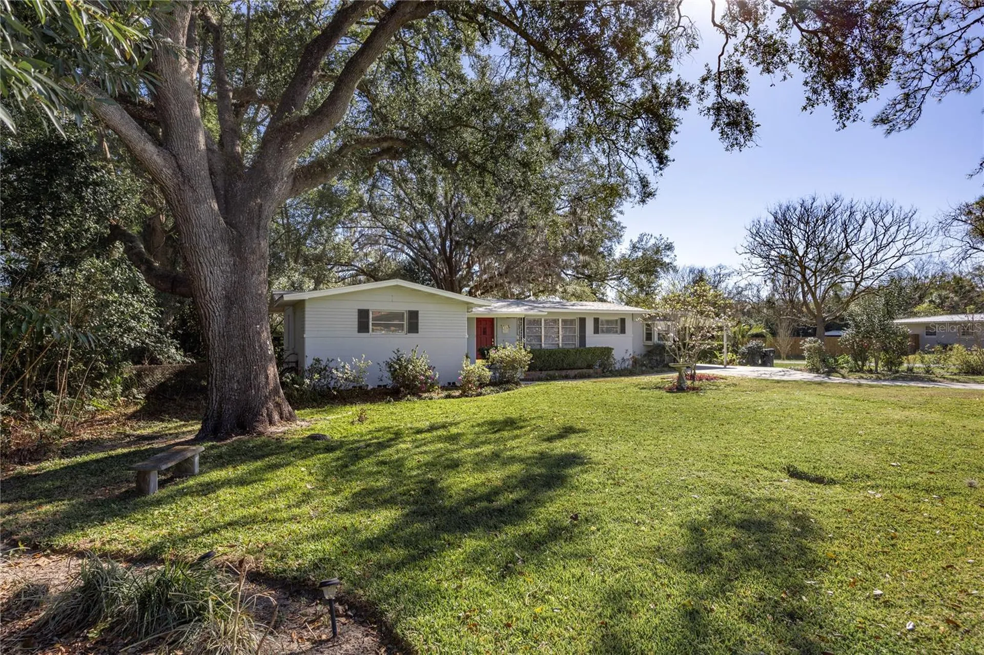 311 NW 8th Street Williston FL 32696