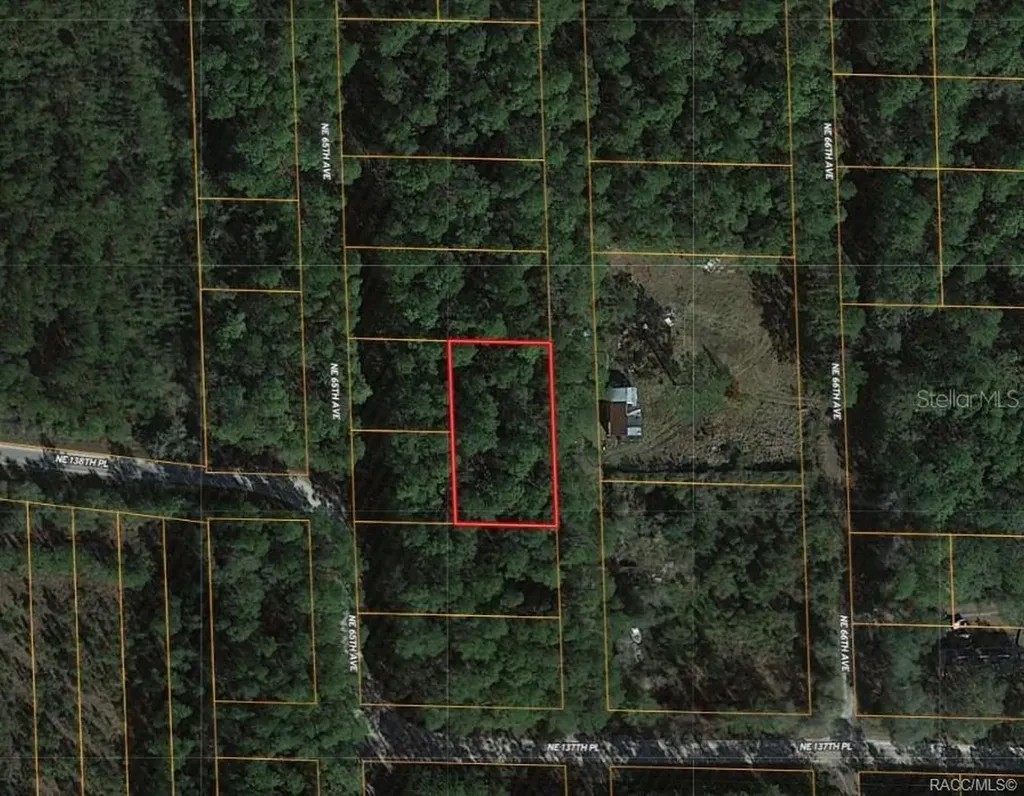 0000 NE 65th Court Citra FL 32113