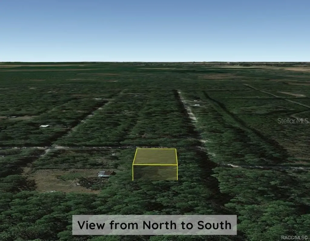0000 NE 65th Court Citra FL 32113