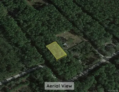 0000 NE 65th Court Citra FL 32113