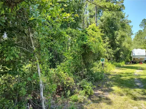0000 NE 65th Court Citra FL 32113