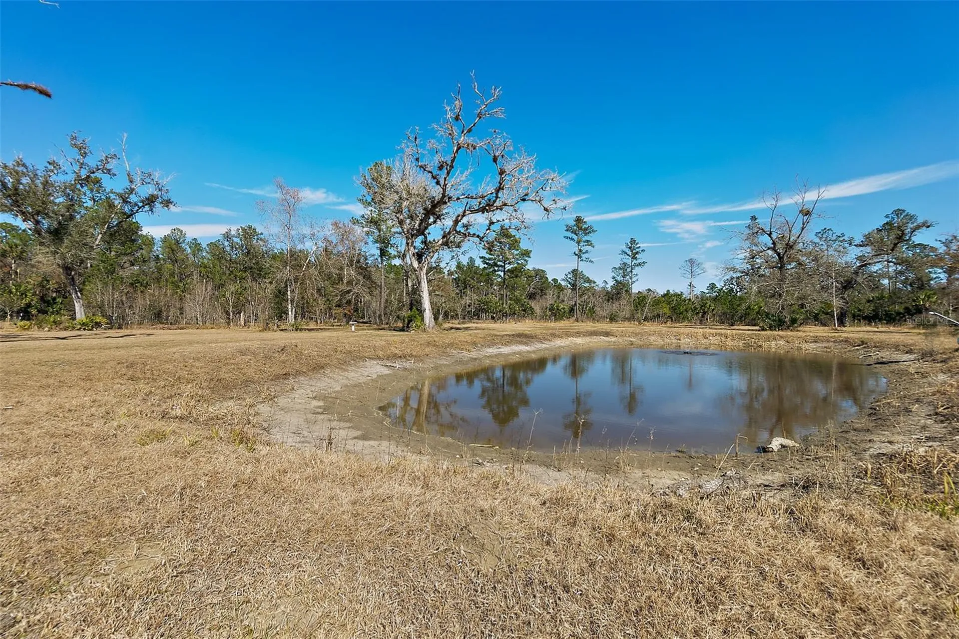 9797 County Road 305 Bunnell FL 32110