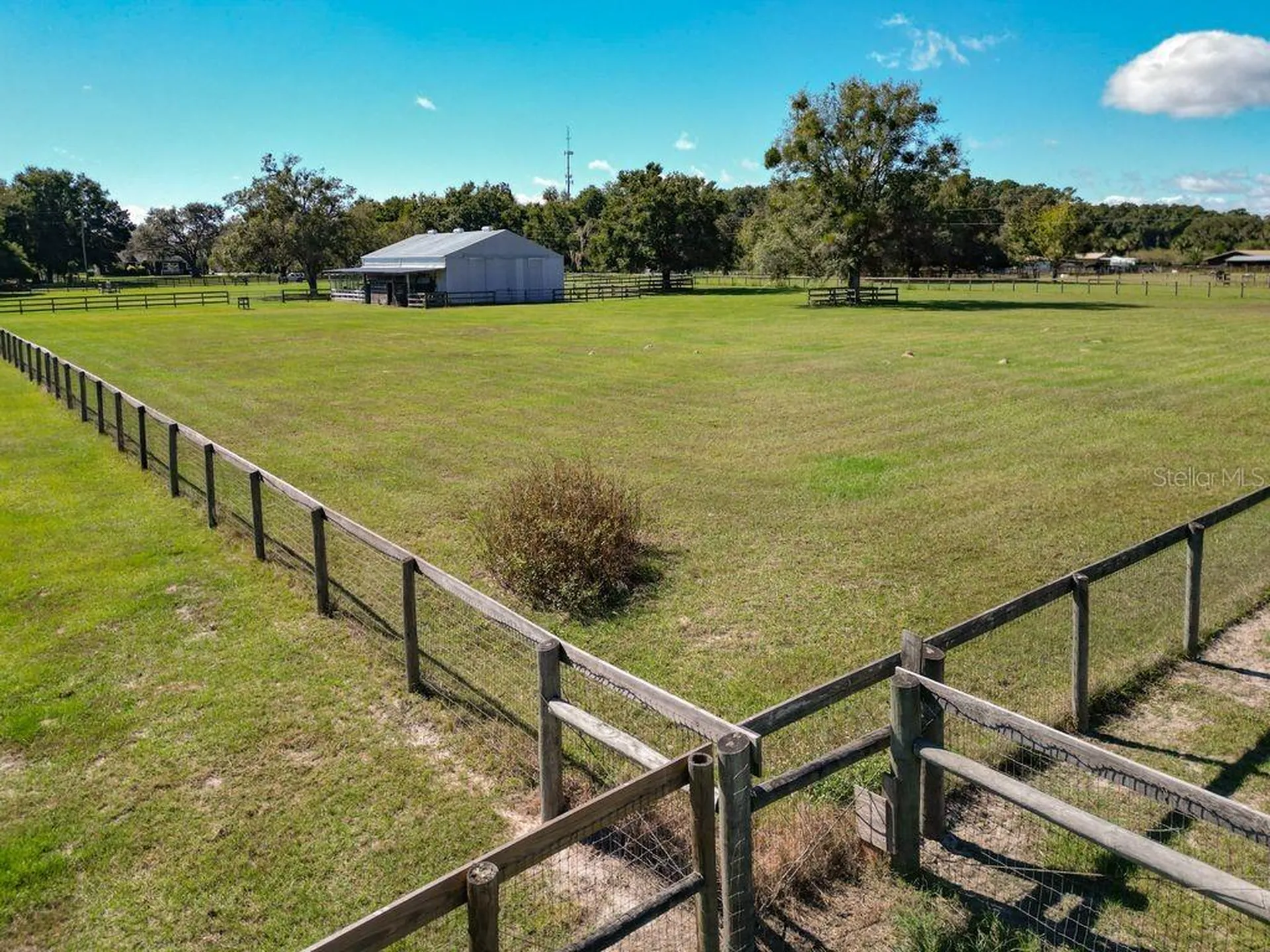 331 SE Highway 42 Summerfield FL 34491