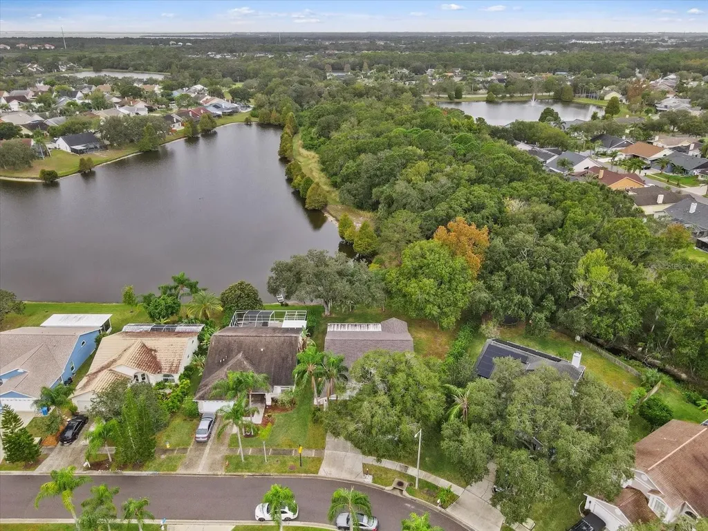 11647 Fox Creek Drive Tampa FL 33635