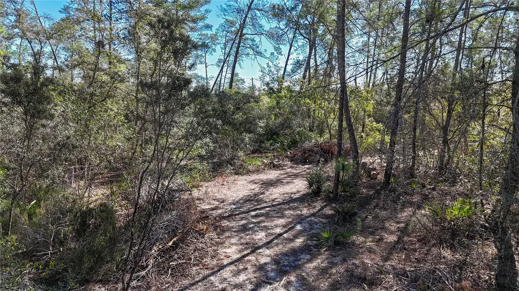 6646 N Percale Terrace Dunnellon FL 34433
