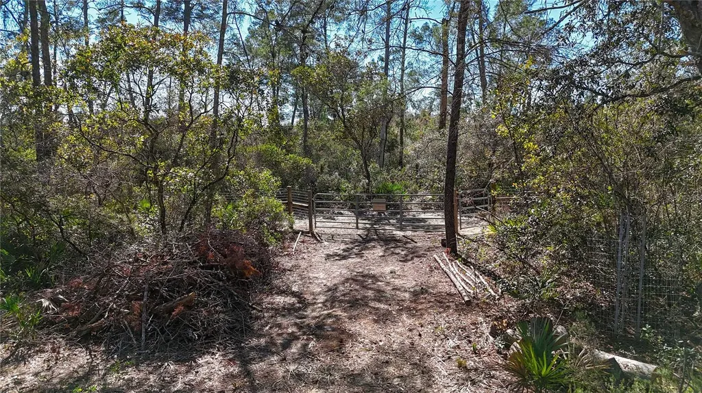 6646 N Percale Terrace Dunnellon FL 34433