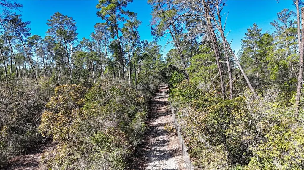 6646 N Percale Terrace Dunnellon FL 34433