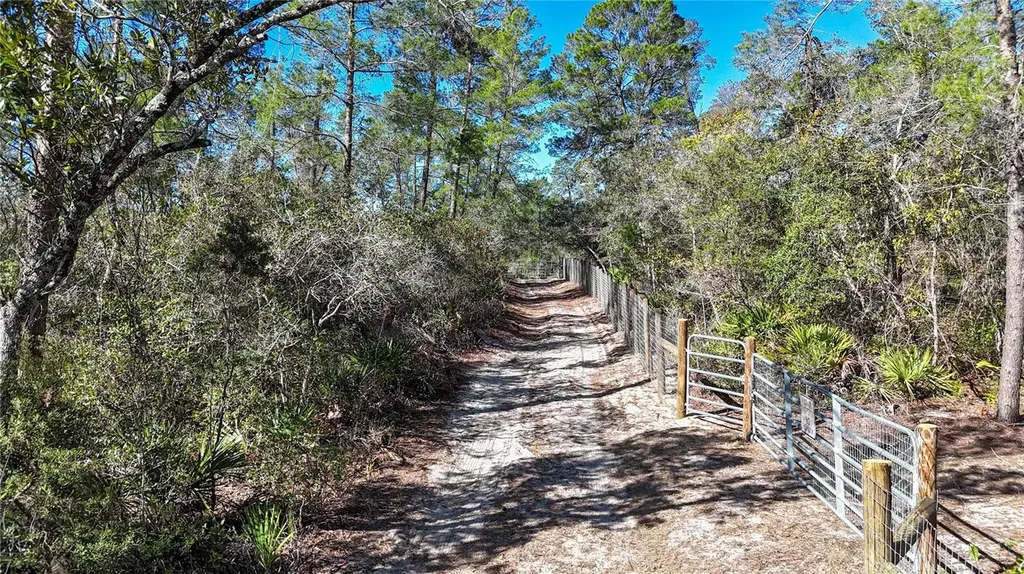 6646 N Percale Terrace Dunnellon FL 34433