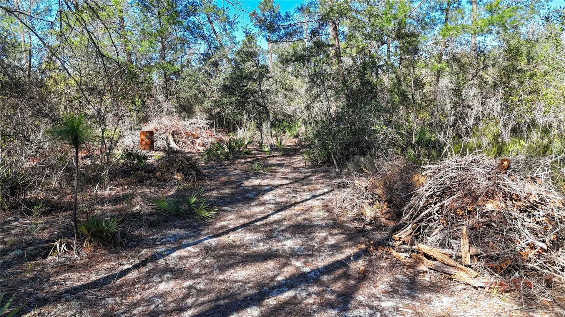 6646 N Percale Terrace Dunnellon FL 34433