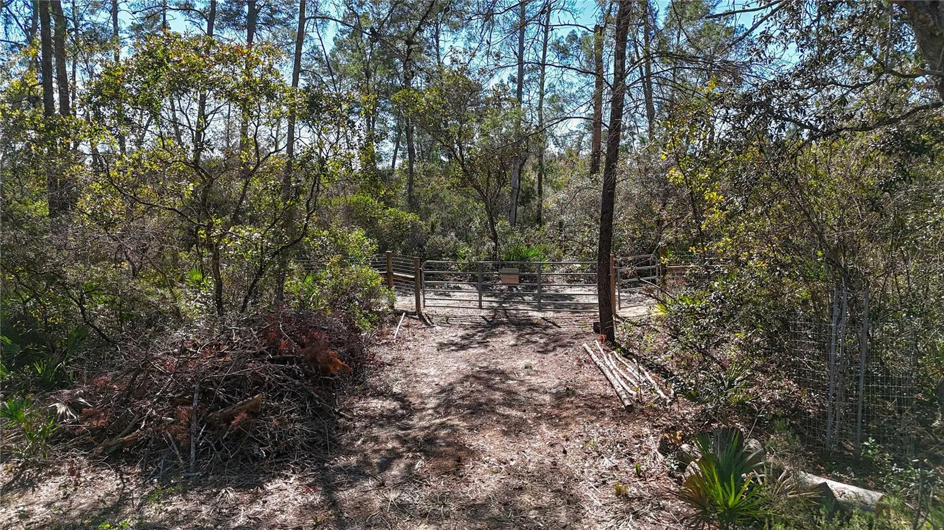 6646 N Percale Terrace Dunnellon FL 34433