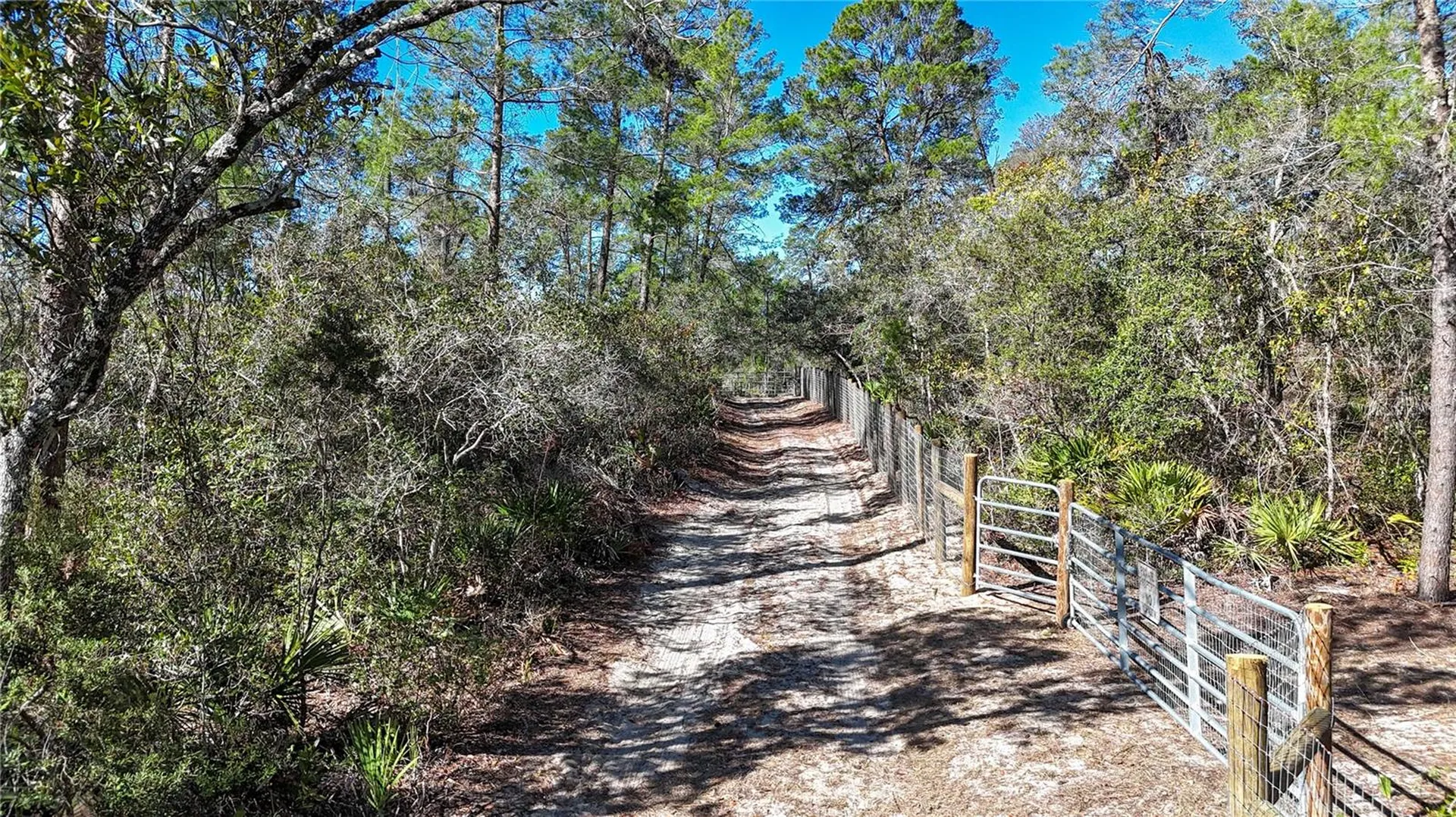 6646 N Percale Terrace Dunnellon FL 34433