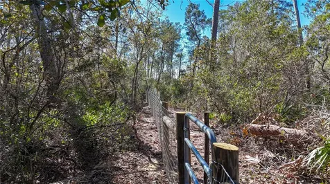 6646 N Percale Terrace Dunnellon FL 34433