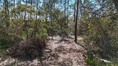 6646 N Percale Terrace Dunnellon FL 34433