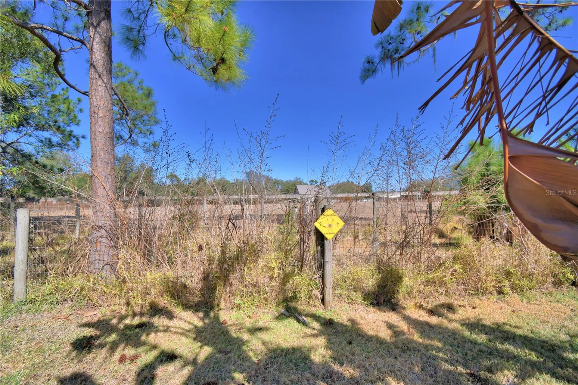 447 San Jose Drive Winter Haven FL 33884
