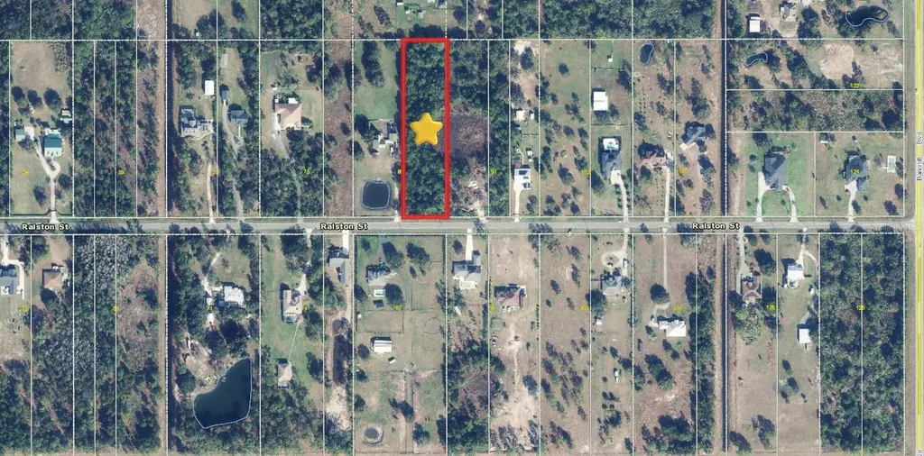 19665 Ralston Street Orlando FL 32833