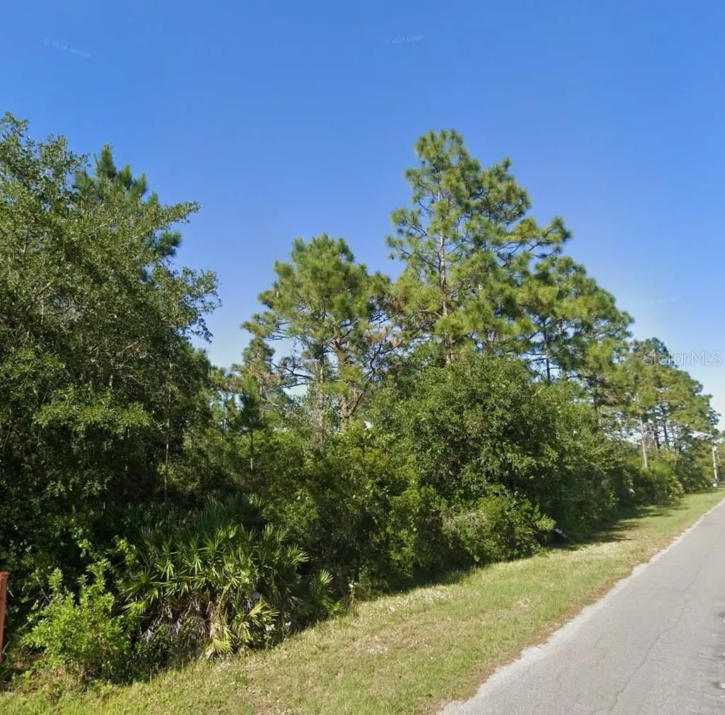 19665 Ralston Street Orlando FL 32833