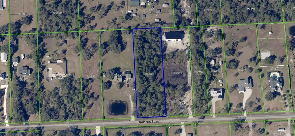 19665 Ralston Street Orlando FL 32833