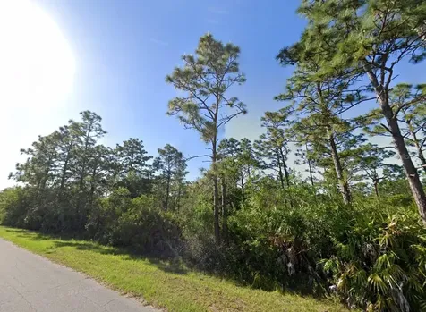 19665 Ralston Street Orlando FL 32833