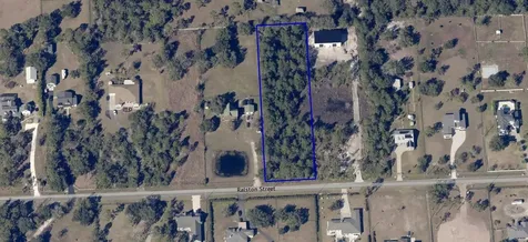 19665 Ralston Street Orlando FL 32833