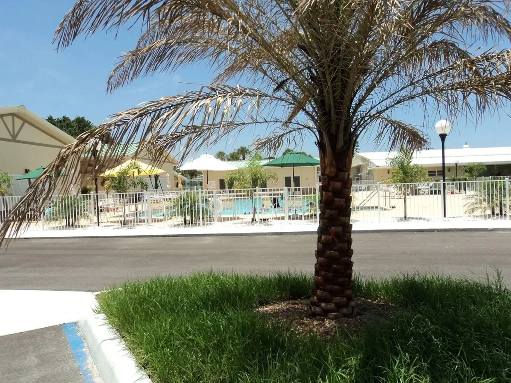 821 Turf Venice FL 34285