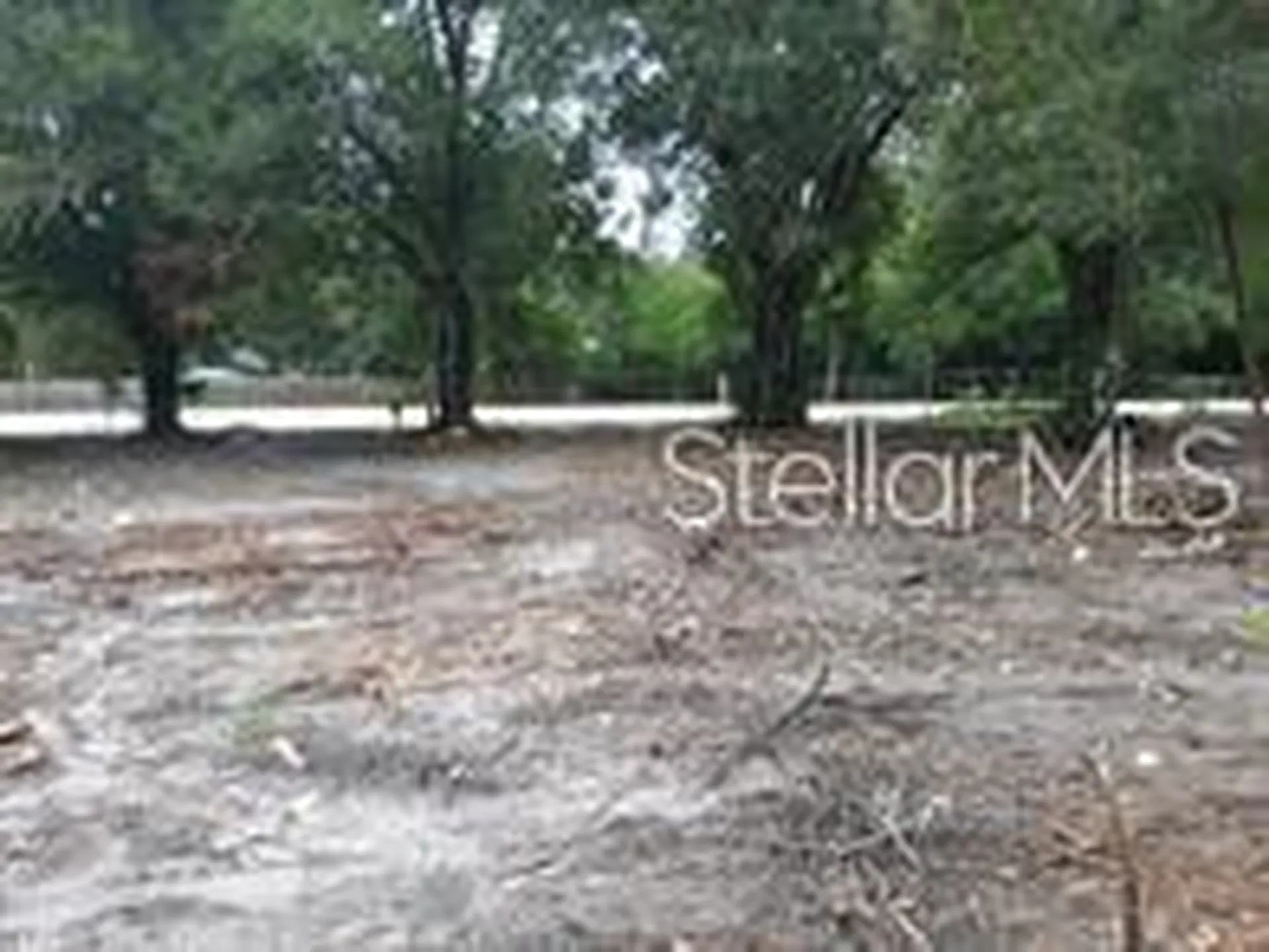 15940 Lake Magdalene Boulevard Tampa FL 33613