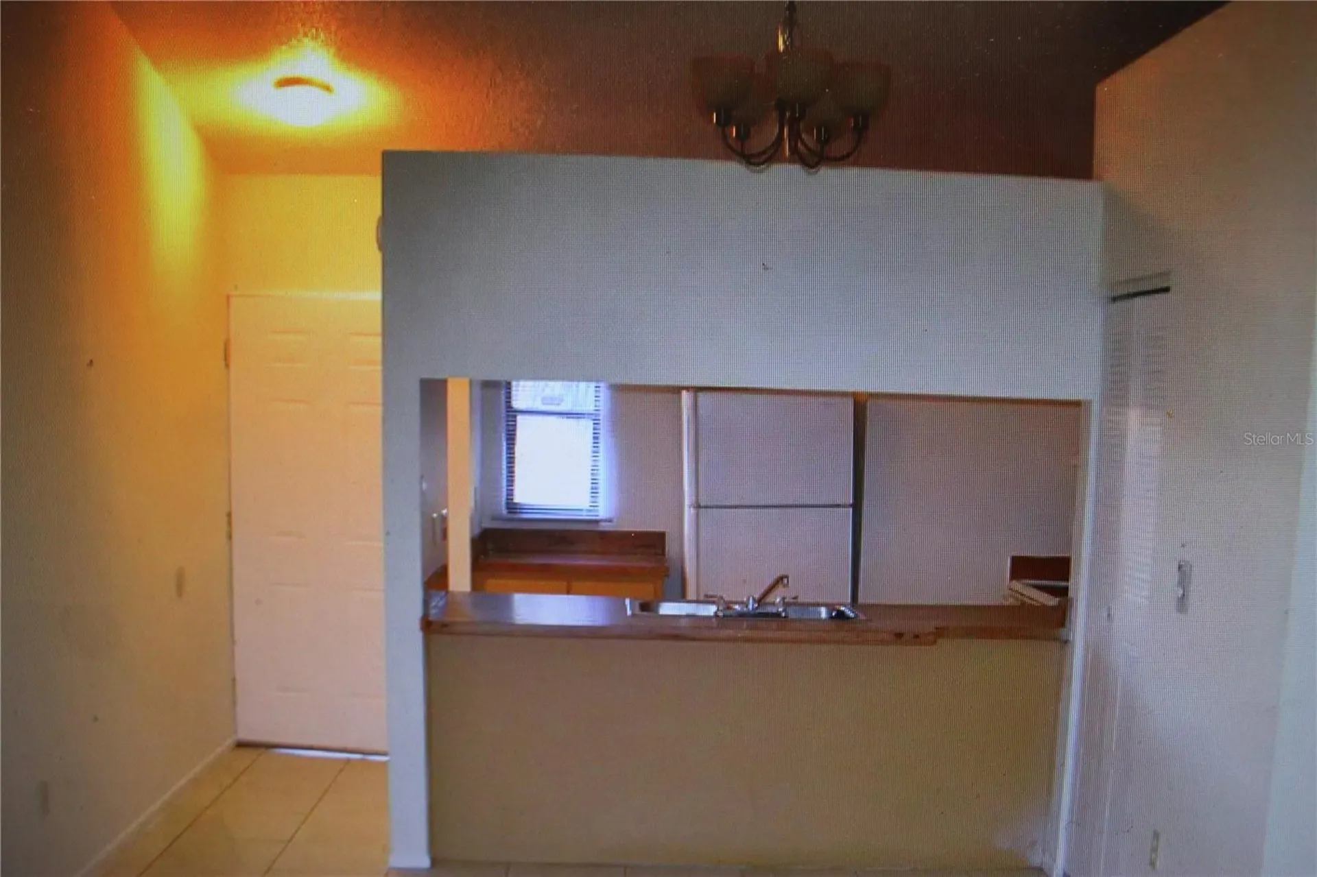 924 Otto Villa Place Tampa FL 33612