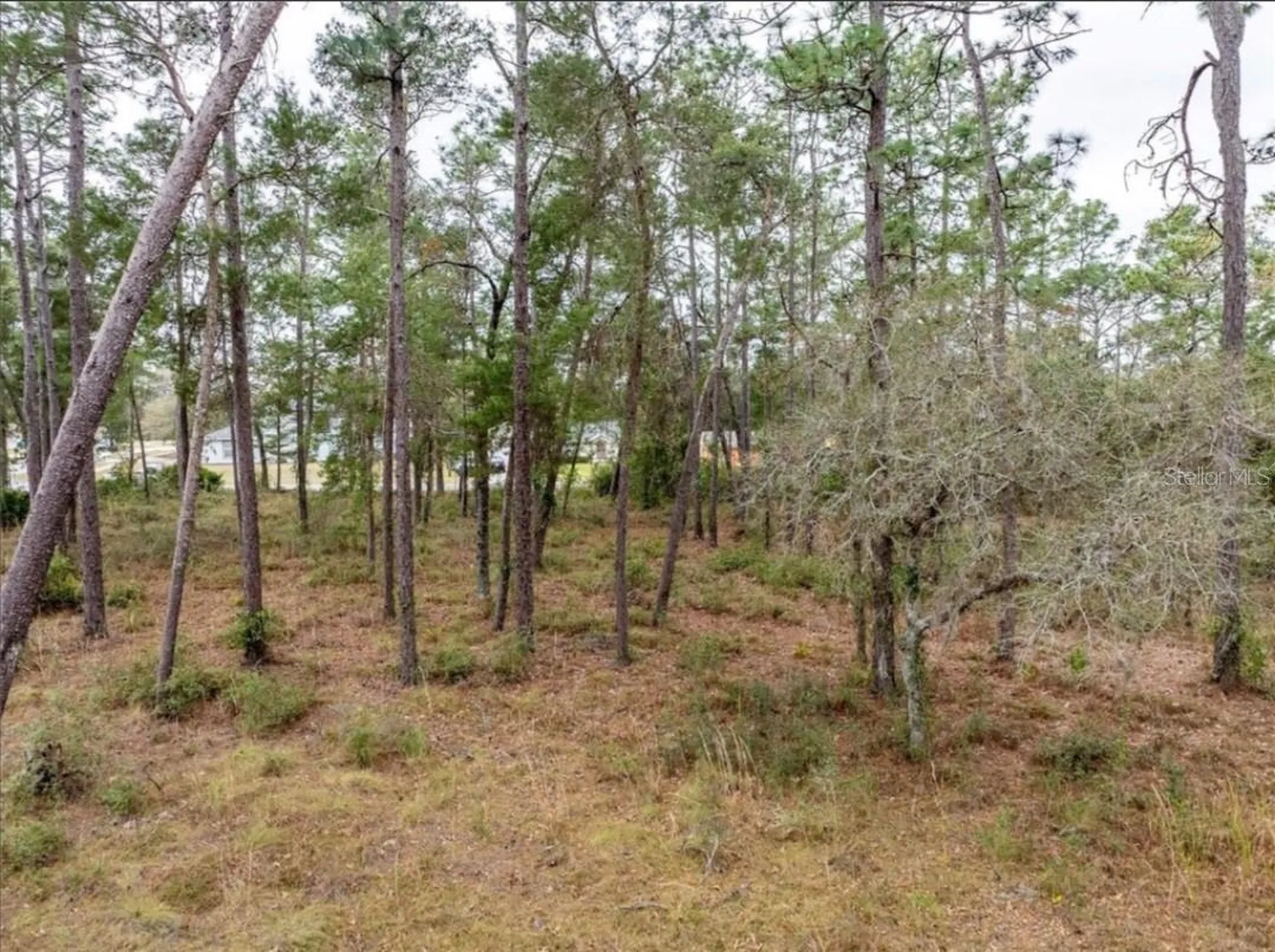 1370 Courtland Boulevard Deltona FL 32738