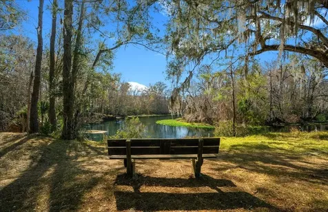 3047 NE 102nd Avenue Road Silver Springs FL 34488