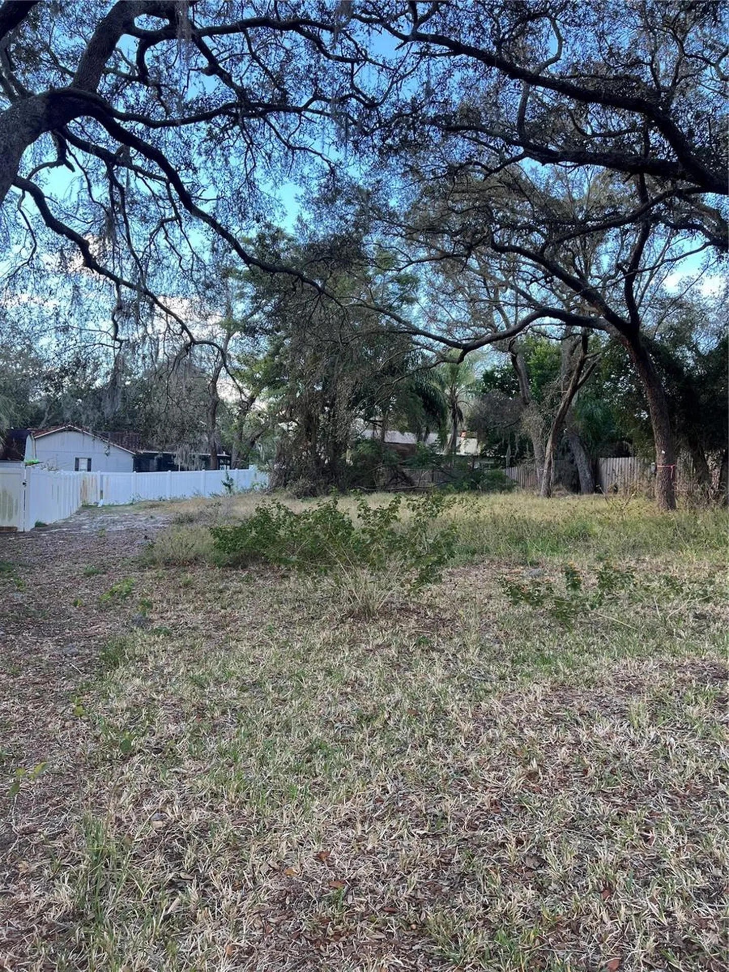 Forde Avenue Tarpon Springs FL 34689