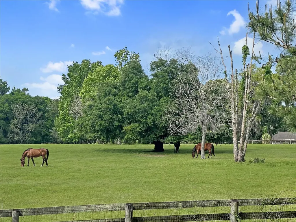 5378 W Highway 329 Reddick FL 32686