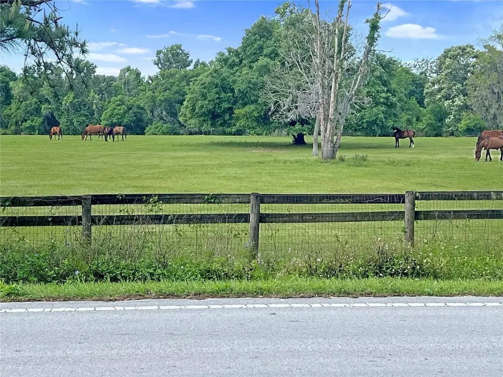 5378 W Highway 329 Reddick FL 32686