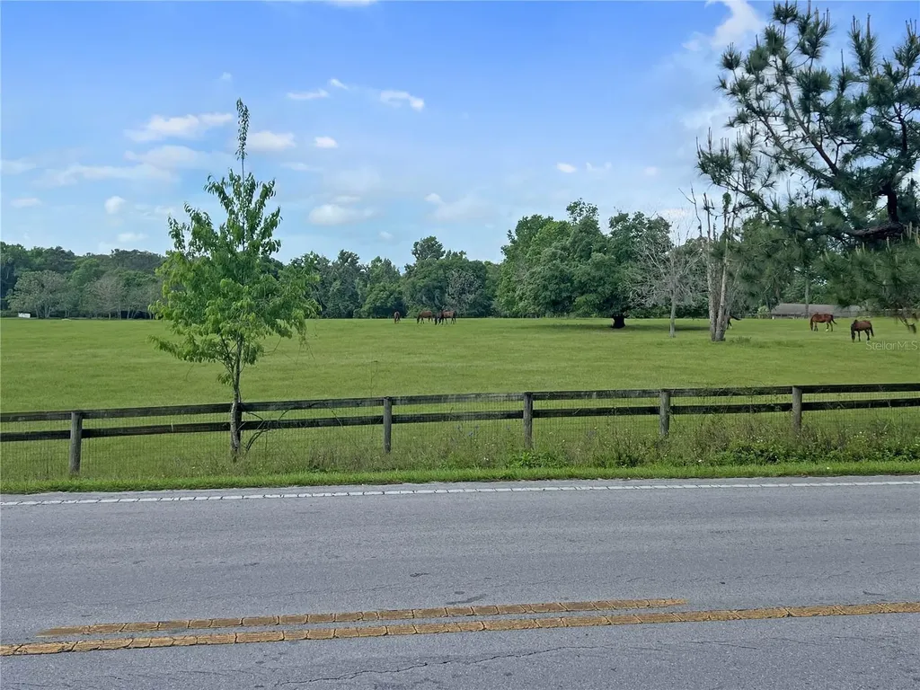 5378 W Highway 329 Reddick FL 32686