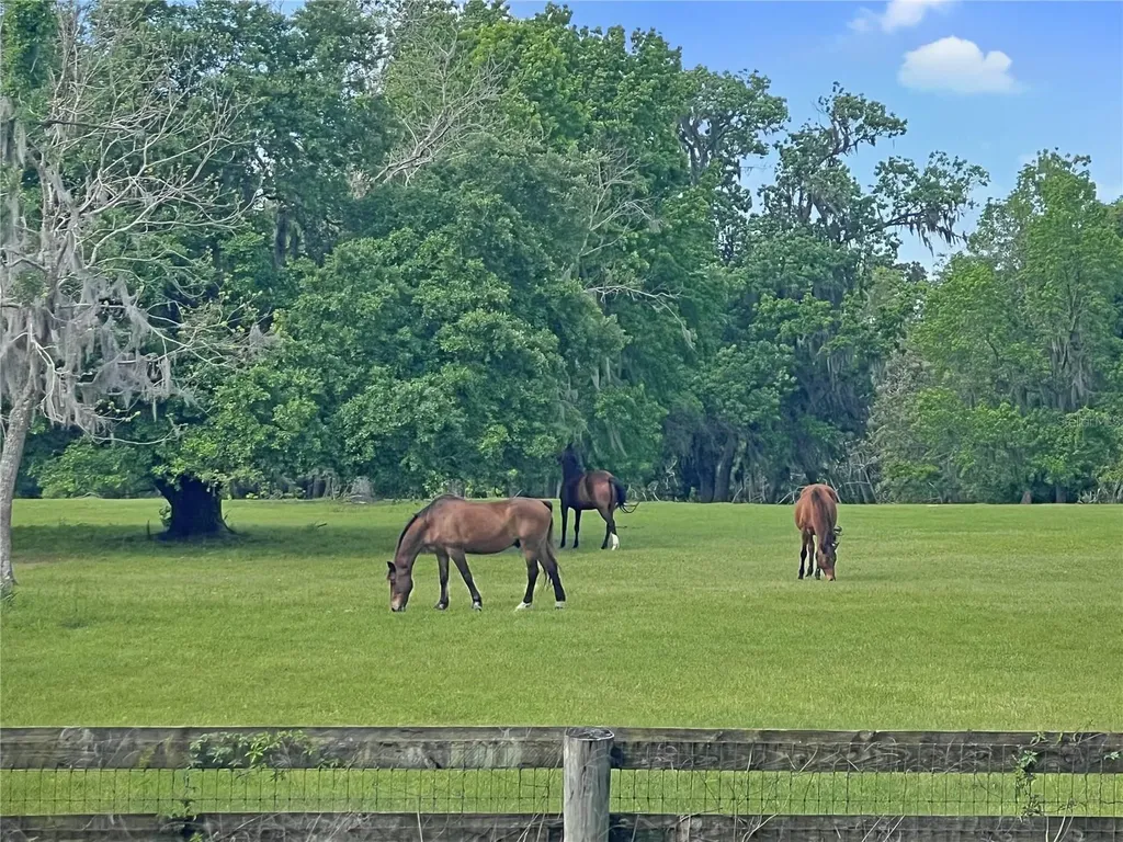 5378 W Highway 329 Reddick FL 32686